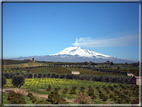 foto Pendici dell'Etna